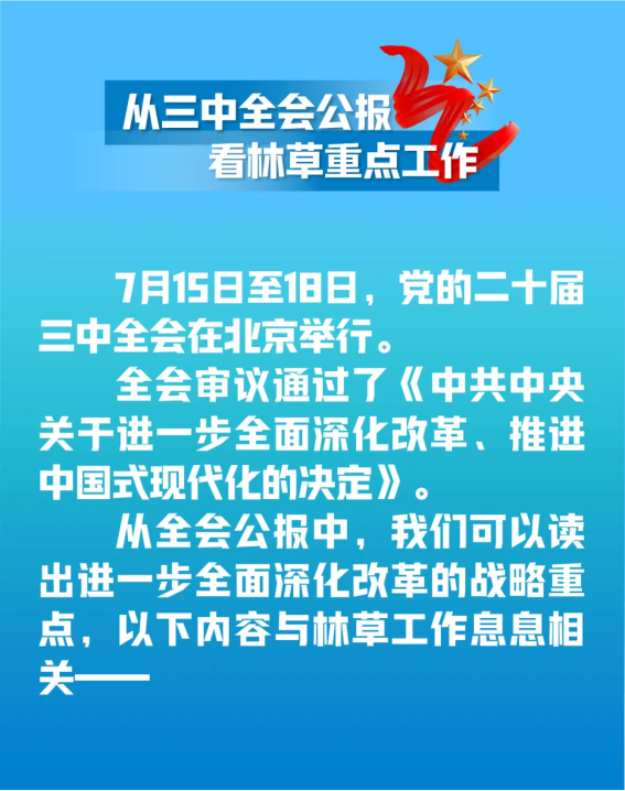 江苏国林林业科技有限公司