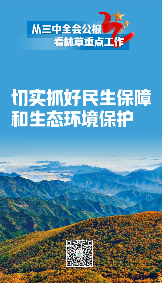 江苏国林林业科技有限公司