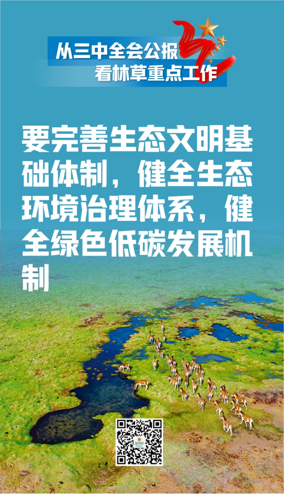 江苏国林林业科技有限公司