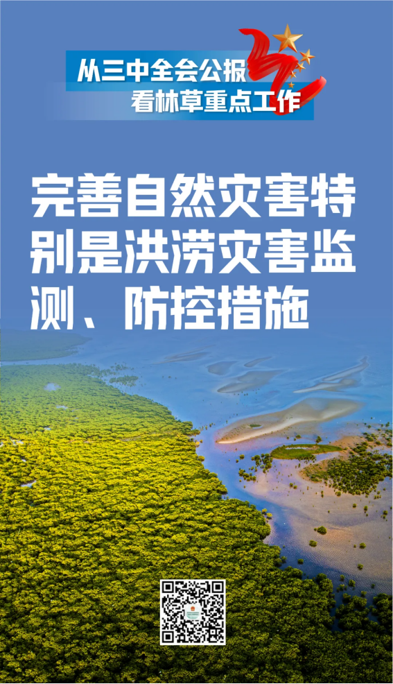 江苏国林林业科技有限公司
