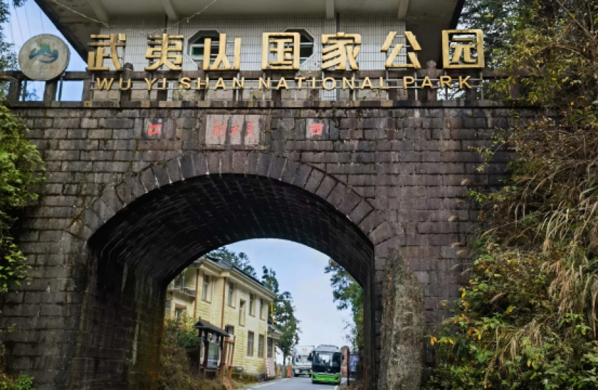 江苏国林林业科技有限公司组织全体员工赴武夷山国家公园考察学习